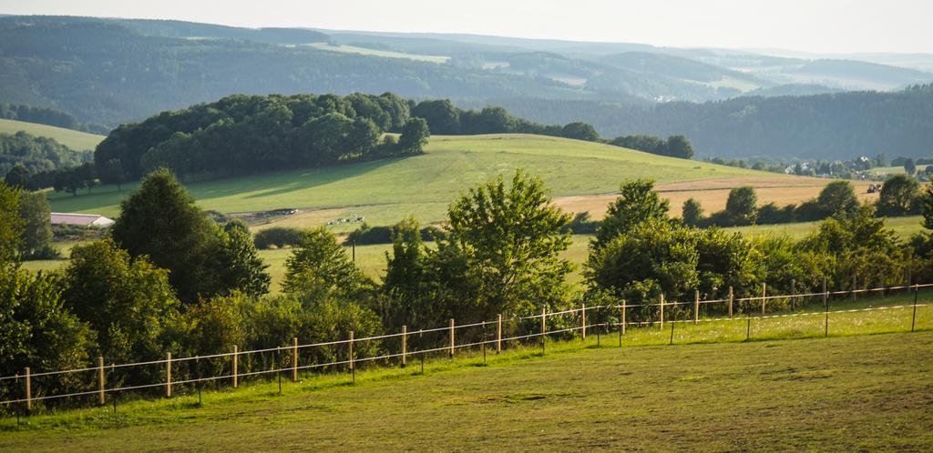 Landgasthof Dittersdorfer Hoehe Amtsberg Exteriör bild